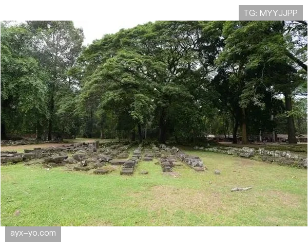 泰国队战象庆典展勇猛团结，状态正佳迎新挑战